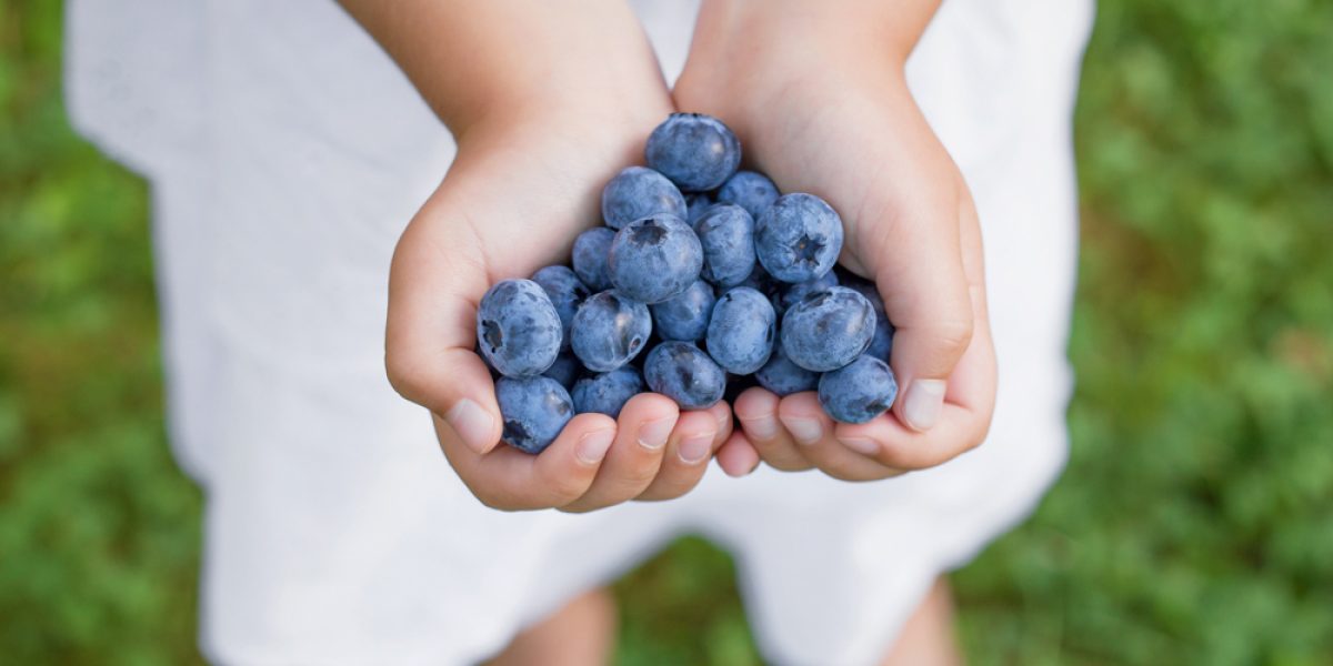 Ten Foods Great for Your Kid’s Brain Health